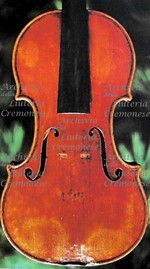 1730cViolino a.jpg