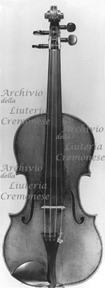 1732cViolino a.jpg