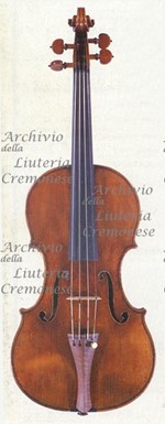 1735ViolinoPlowden a.jpg