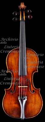 1741cViolino a.jpg