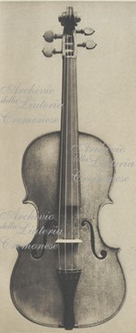 1750ViolinoexHaft a.jpg