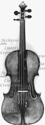 175xViolino a.jpg