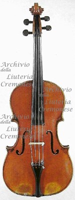 1760cViola a.jpg