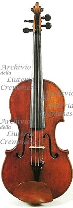 1774cViolino a.jpg