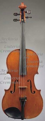 1774Viola a.jpg