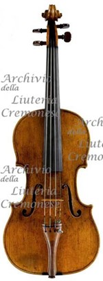 1780Viola a.jpg