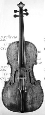 1781Viola a.jpg