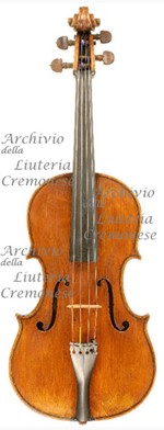 1783cViola a.jpg