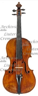 1785c Viola a.jpg