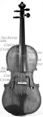 1785cViolino3 a.jpg