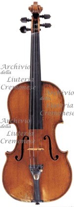 1788cViolino a.jpg