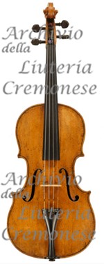 1788Viola a.jpg