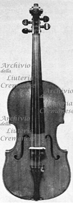 1793Viola a.jpg