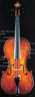 1796Viola a.jpg