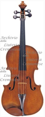 1809Viola a.jpg