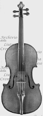 1879Viola a.jpg