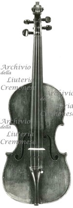 1890cViolino5 a.jpg