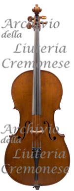 1896 Cello a.jpg