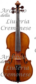 1905cViolino a.jpg