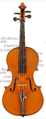 1911Viola a.jpg