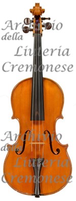 1912Viola a.jpg