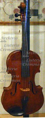 1923Violetto a.jpg