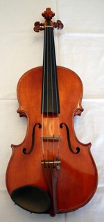 1951Viola a.jpg