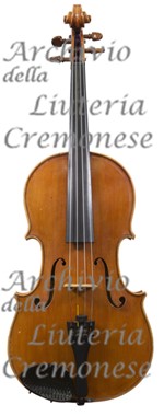 1977Viola a.jpg