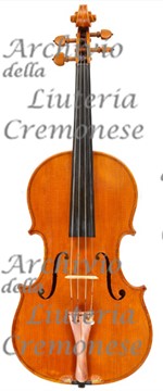 1987Viola a.jpg