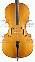 1992Violoncello a.jpg