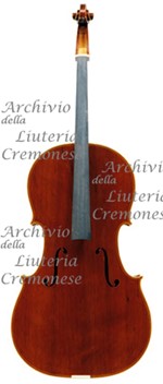 1999Cello a.jpg