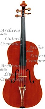 2000Viola a.jpg