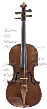 Viola1567 a.jpg