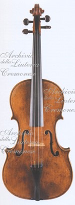 ViolaNMM3370 a.jpg