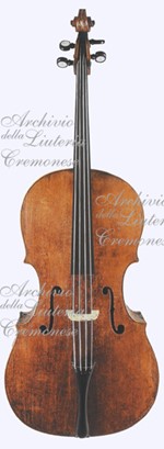 VioloncelloNMM3351 a.jpg