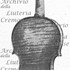 1587Violino c.jpg