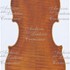 1588_Violino_c.jpg