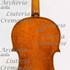 1595ViolaBeare c.jpg