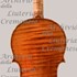 1609ViolinoSD c.jpg