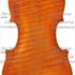 1611Violino2 c.jpg