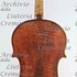 1617Viola c.jpg