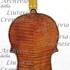 1619cViolino2 c.jpg