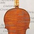 1623cViolino c.jpg