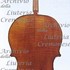 1624Cello c.jpg