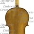1630cViolino2 c.jpg