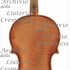 1640cViolino c.jpg