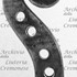 1641ViolinoHamburg d.jpg