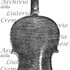 1645Violino2 c.jpg