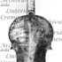 1649-1715Violino7 c.jpg