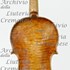 1651Violino c.jpg